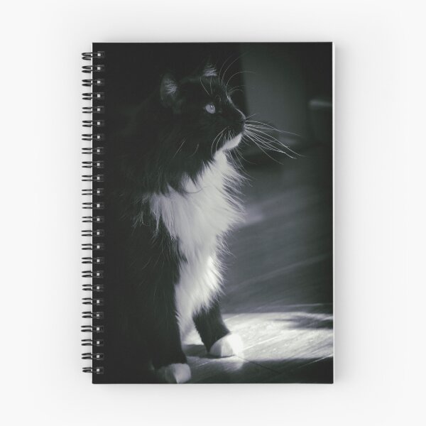 Item preview, Jasper in B&W designed and sold by Lynn Starner.