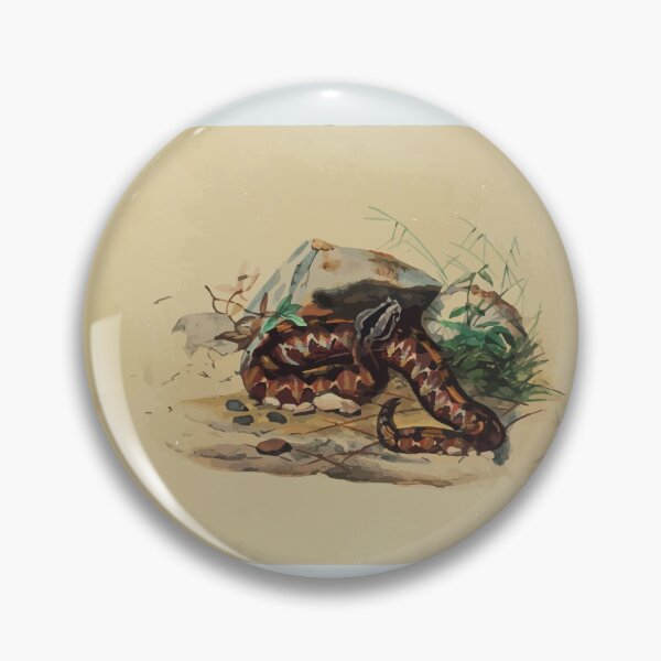 Item preview, Zoological sketches by Joseph Wolf 1861 to 1867 099 The Clotho designed and sold by WetdryvacRB01.