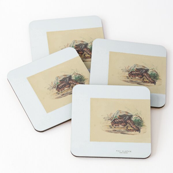 Item preview, Zoological sketches by Joseph Wolf 1861 to 1867 099 The Clotho designed and sold by WetdryvacRB01.