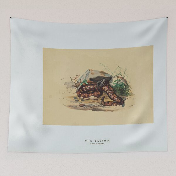Item preview, Zoological sketches by Joseph Wolf 1861 to 1867 099 The Clotho designed and sold by WetdryvacRB01.