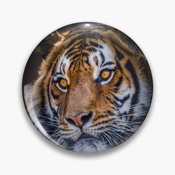 Item preview, Tiger designed and sold by Marc Scott-Parkin.