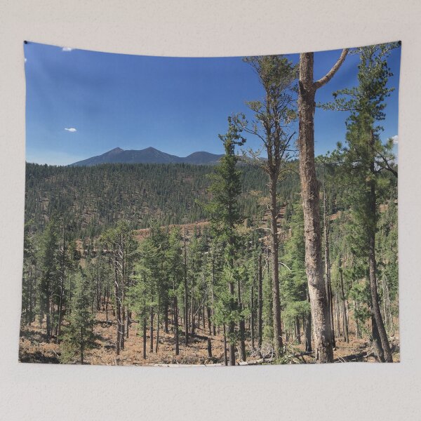 Item preview, Flagstaff Watershed Arizona US designed and sold by tamal778.