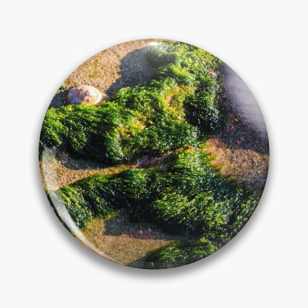 Item preview, The Approach designed and sold by Geoff Wols.