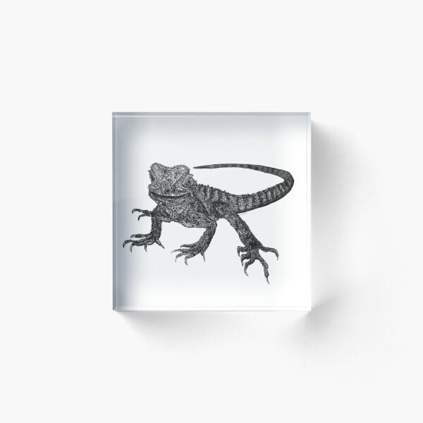 Kenneth the Water Dragon Acrylic Block