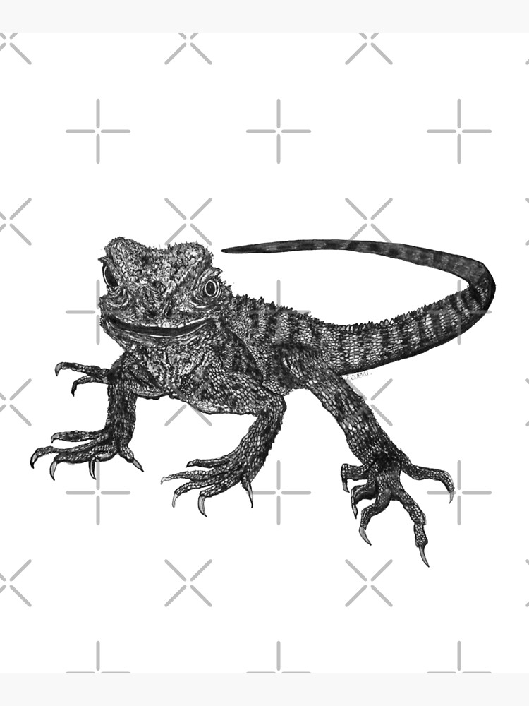 Kenneth the Water Dragon by Wildcard-Sue
