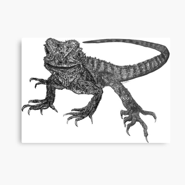 Kenneth the Water Dragon Metal Print