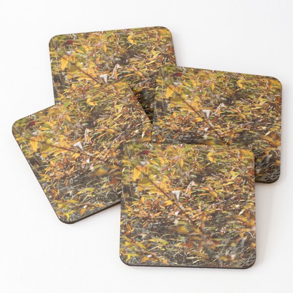 Item preview, A canopy of autumn leaves. designed and sold by EAnneH.