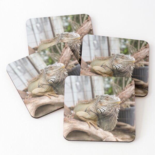 Item preview, Green iguana  designed and sold by aflutter.