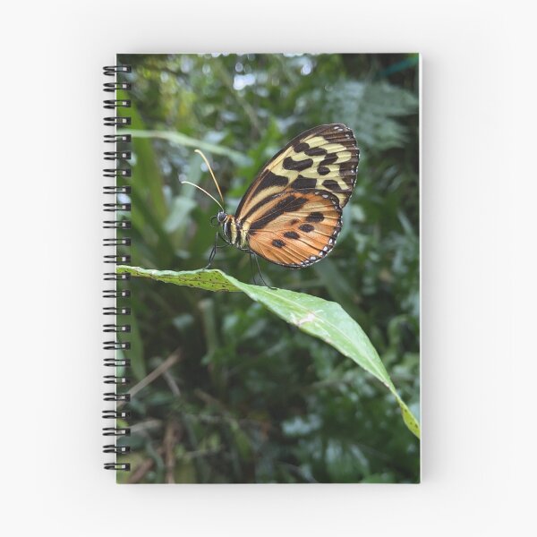 Item preview, Tiger Longwing  designed and sold by aflutter.