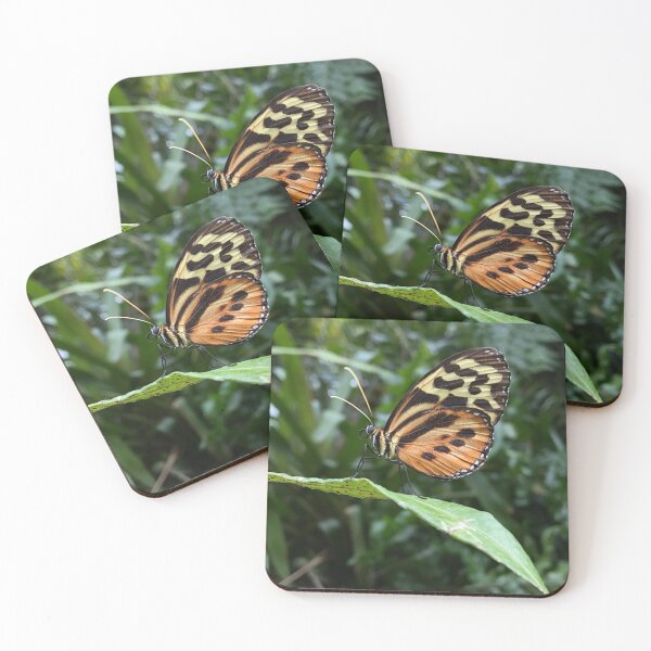 Item preview, Tiger Longwing  designed and sold by aflutter.
