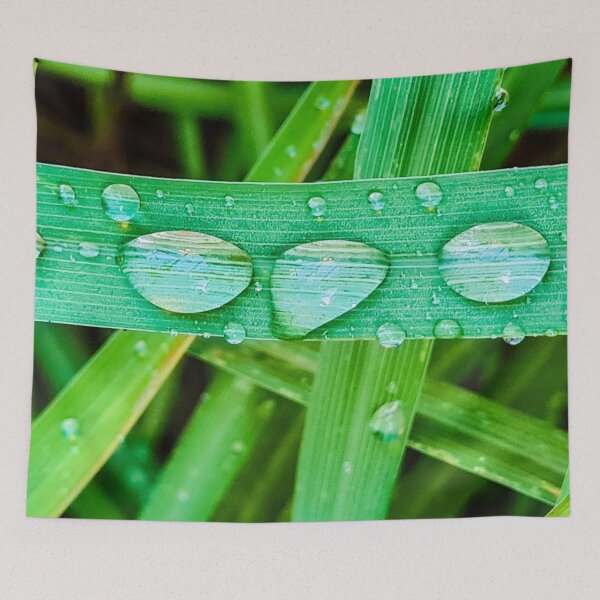 Item preview, Morning Dew Water Droplets on Lemongrass Leaves designed and sold by DCapparels.