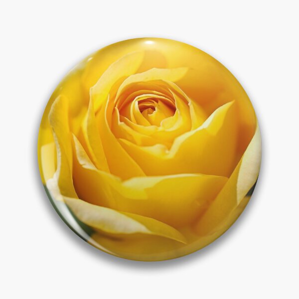Item preview, Gold Bunny Rose designed and sold by Joy Watson - Natural Light Photography .