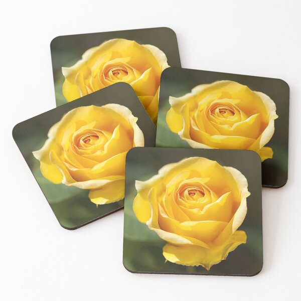 Item preview, Gold Bunny Rose designed and sold by Joy Watson - Natural Light Photography .