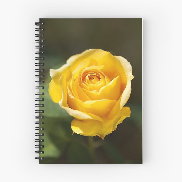 Item preview, Gold Bunny Rose designed and sold by Joy Watson - Natural Light Photography .