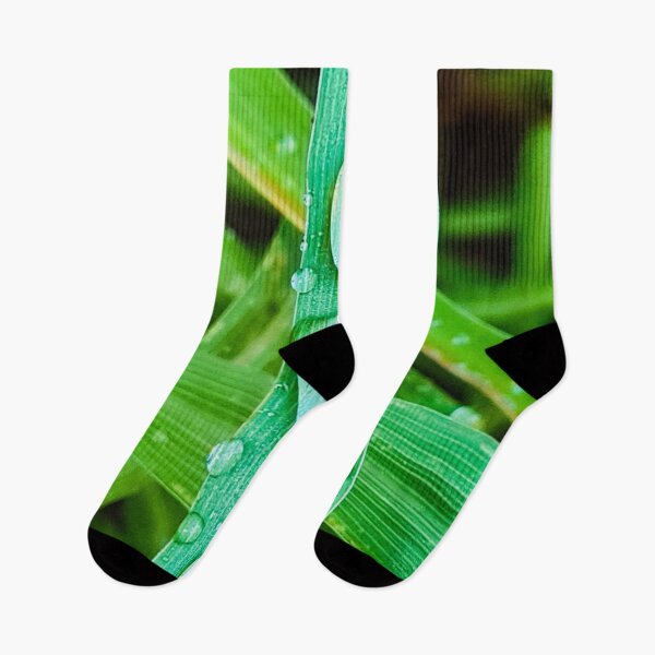 Item preview, Morning Dew Water Droplets on Lemongrass Leaves designed and sold by DCapparels.