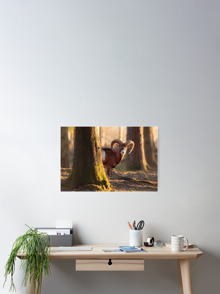Thumbnail 2 of 3, Poster, Gotcha designed and sold by rhintl.