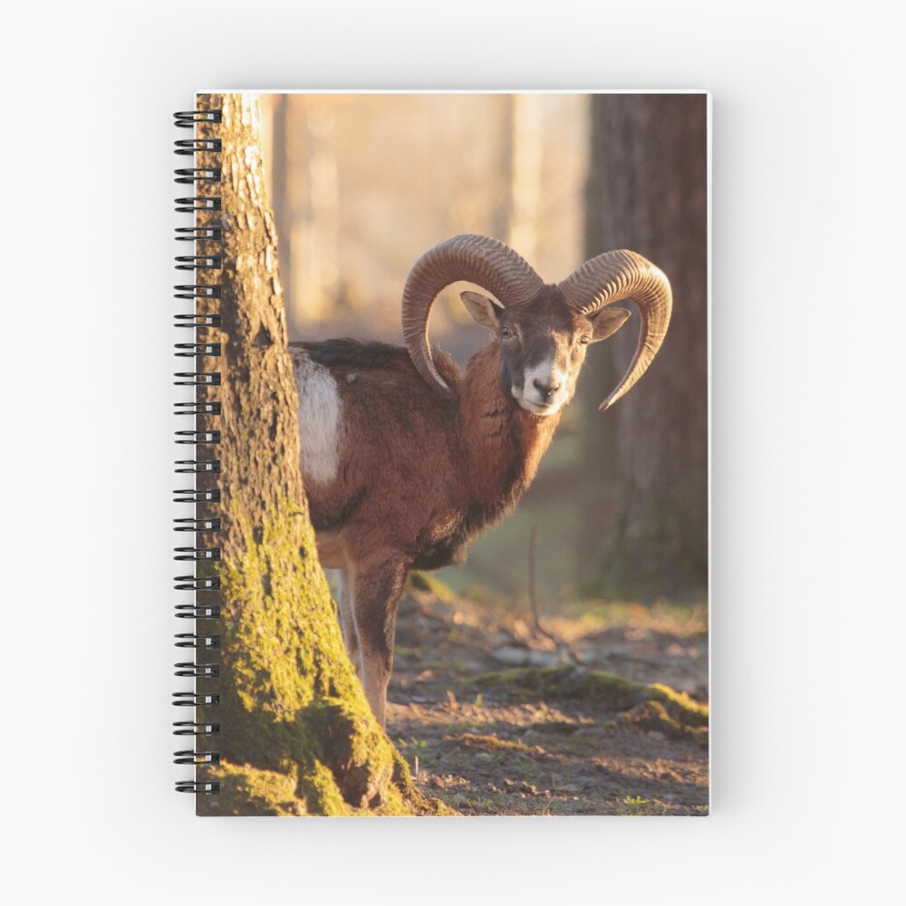 Vista previa del artículo con la obra «Cuaderno de espiral», diseñado y vendido por rhintl.