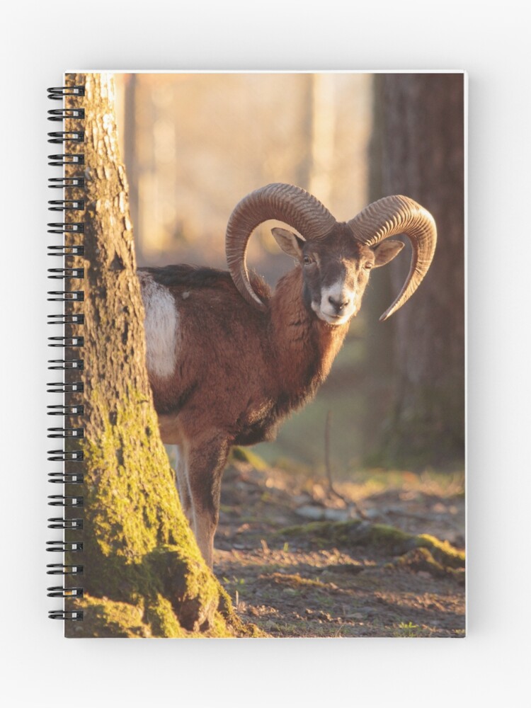 Thumbnail 1 of 3, Journal, Gotcha designed and sold by rhintl.