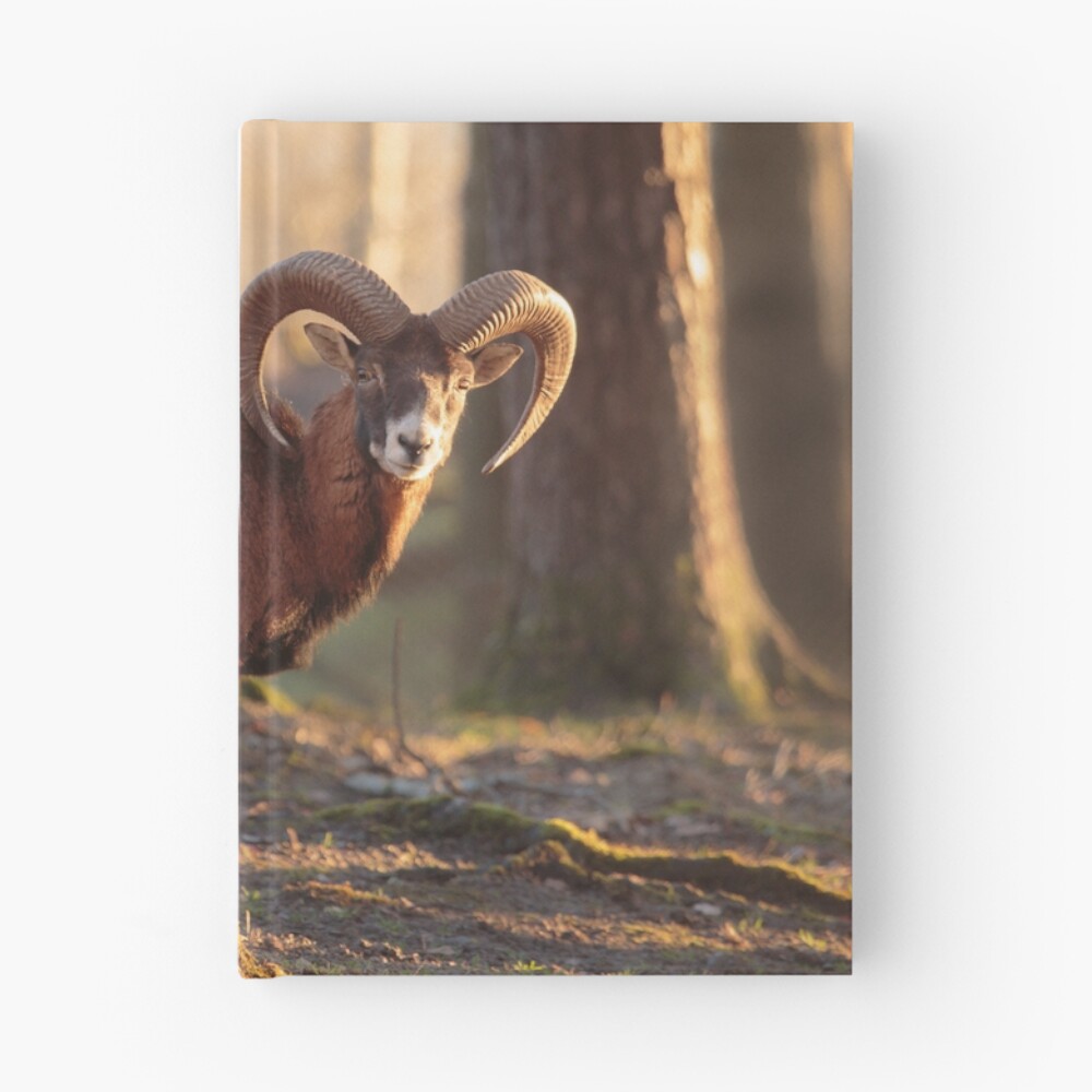 Vista previa del artículo con la obra «Cuaderno de tapa dura», diseñado y vendido por rhintl.
