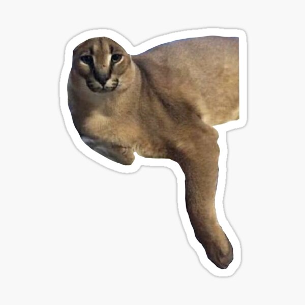 big floppa - caracal Sticker for Sale by faelarvae