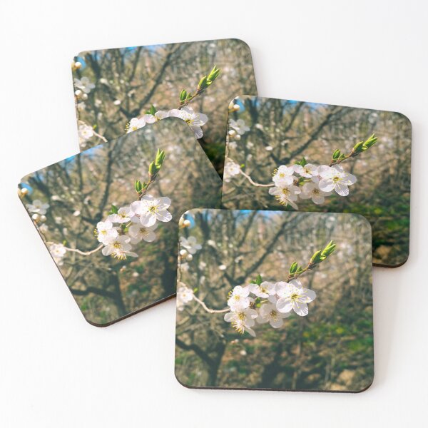 Item preview, Cherry tree in blossom, natural background, yearly spring  designed and sold by helenkaiy.