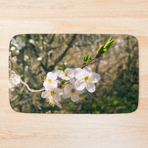 Item preview, Cherry tree in blossom, natural background, yearly spring  designed and sold by helenkaiy.