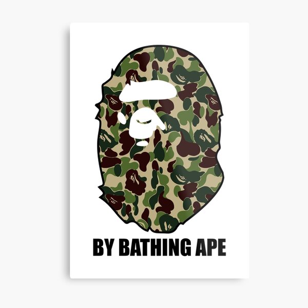 Army Metal Print