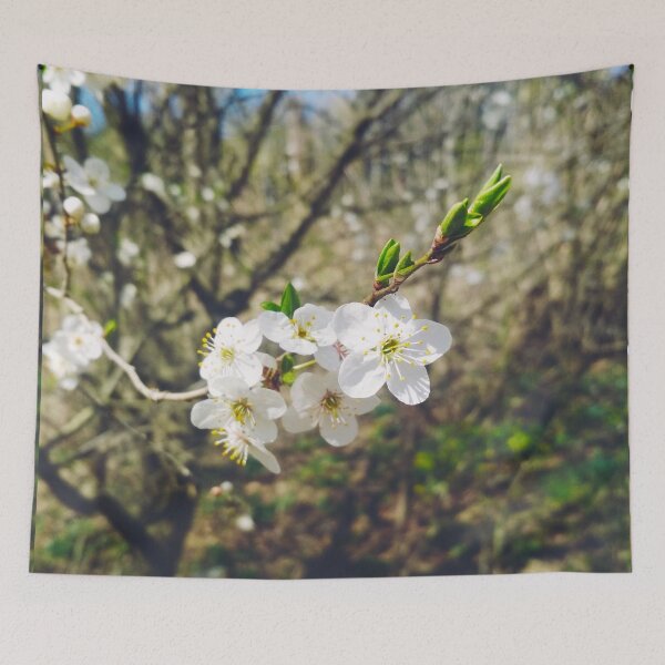 Item preview, Cherry tree in blossom, natural background, yearly spring  designed and sold by helenkaiy.