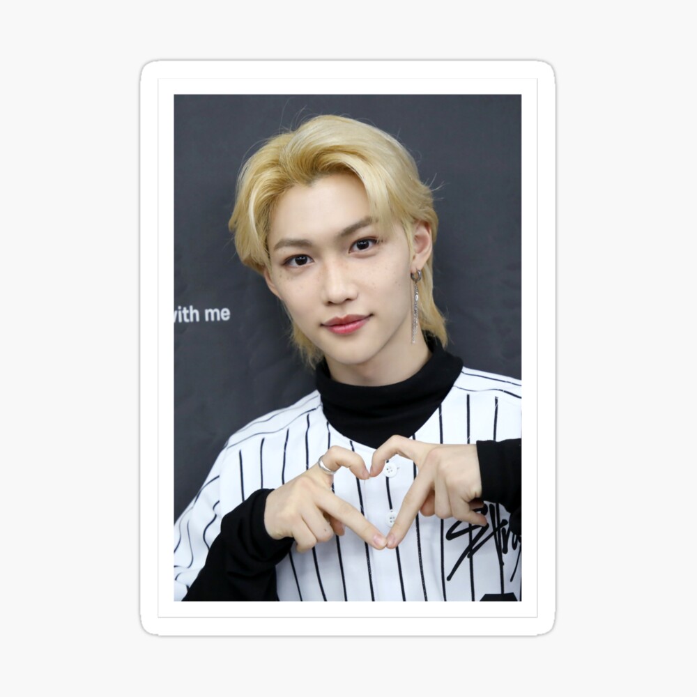 Stray Kids Felix Photocards 