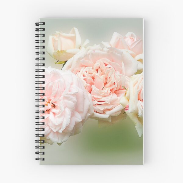 Item preview, Pink roses designed and sold by leobrix.