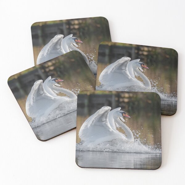 Item preview, Mute swan landing designed and sold by alan tunnicliffe.