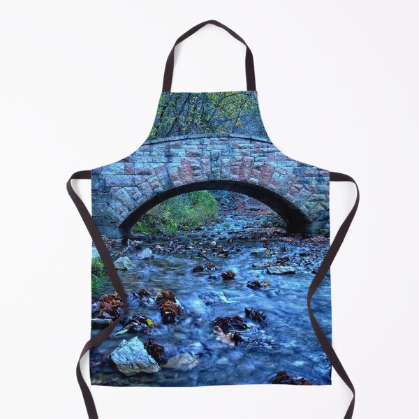 Item preview, Autumn Under The Bridge 2 designed and sold by LynyrdSky.