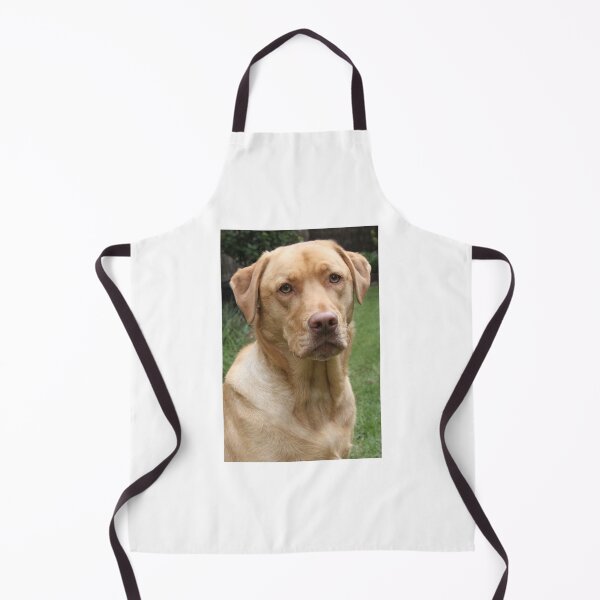 Item preview, Labrador headshot designed and sold by barnesphotos.