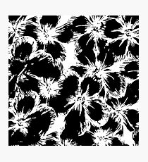 Modern Chic Black and White Flower Pattern Photographic Print