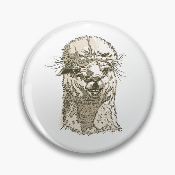 Item preview, Alpaca alpaca head designed and sold by DerSenat.