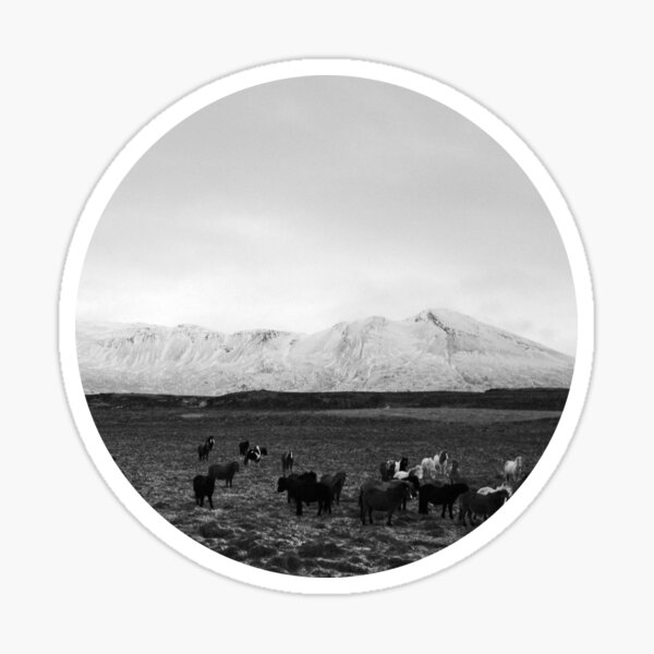 The herd Sticker