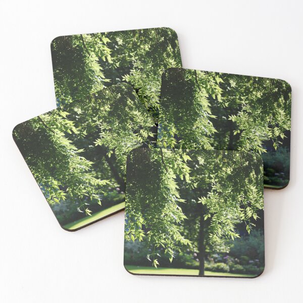Item preview, Leaves of Light designed and sold by justbmac.