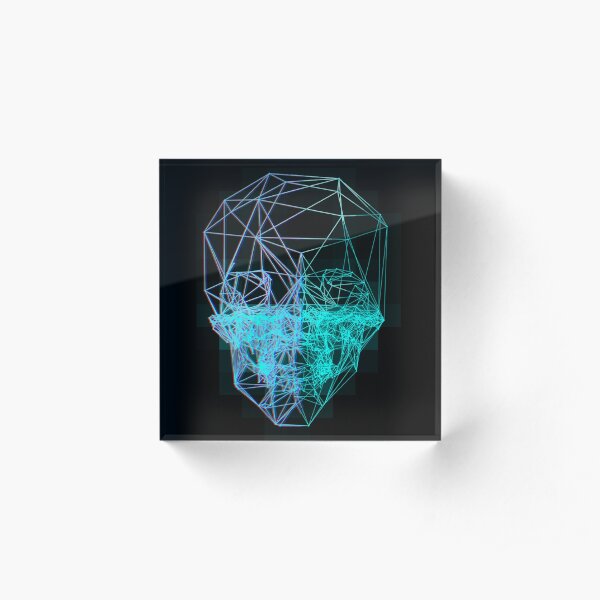 3D Skull Acrylic Block