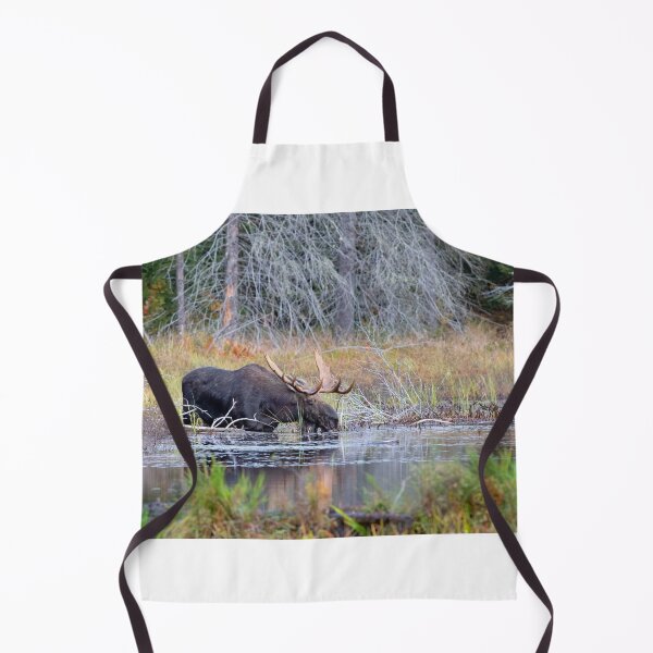 Item preview, Bull Moose in Algonquin Park, Canada designed and sold by James Cumming.