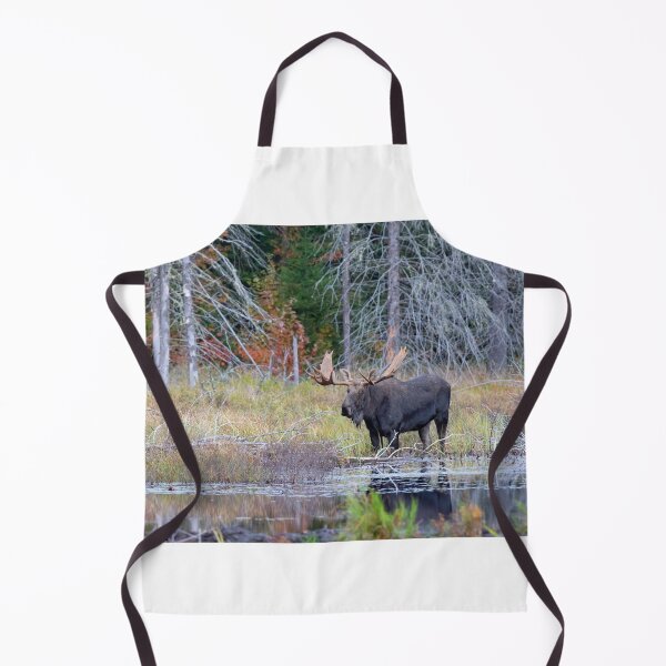 Item preview, Bull Moose, Algonquin Park designed and sold by James Cumming.