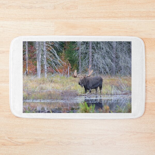Item preview, Bull Moose, Algonquin Park designed and sold by James Cumming.
