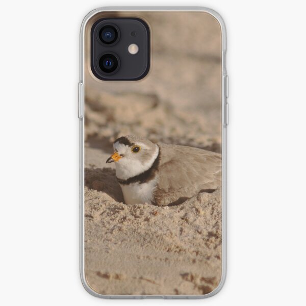 Nesting Piping plover iPhone Soft Case