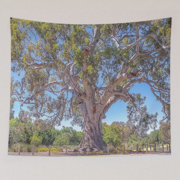 Item preview, The Old River Red Gum in Guildford Victoria designed and sold by Steven Jodoin.