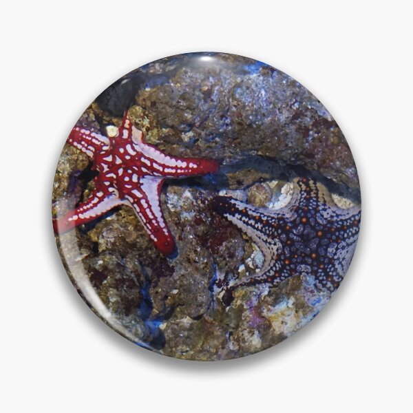 Item preview, Three starfish designed and sold by socialengineer.