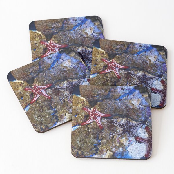 Item preview, Three starfish designed and sold by socialengineer.