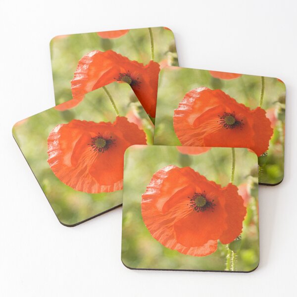 Item preview, Poppy designed and sold by Lawrence Woolston.