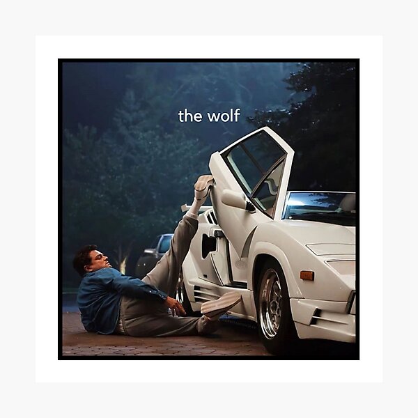 the wolf Photographic Print