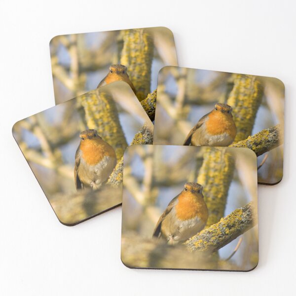 Item preview, Robin Red Breast designed and sold by Lawrence Woolston.
