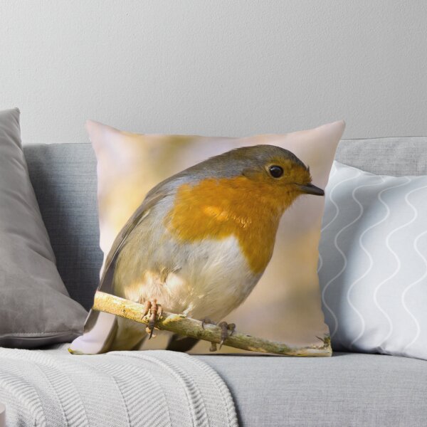 Item preview, Another Robin Red Breast designed and sold by Lawrence Woolston.