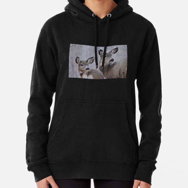 Mule Deer - Looking Back Pullover Hoodie